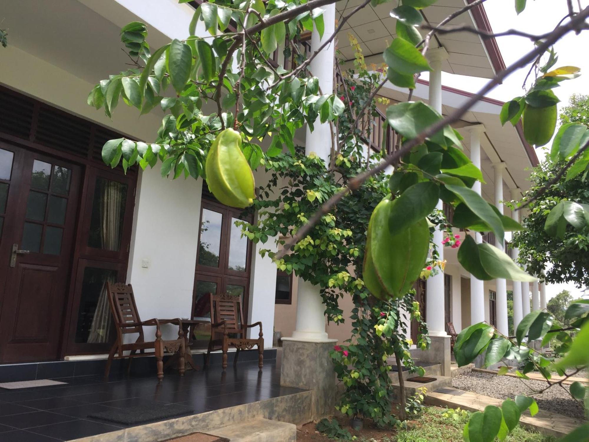 Goddess Garden Sigiriya Hotel Kültér fotó